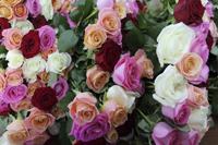 Дорогие женщины, поздравляем вас с праздником!